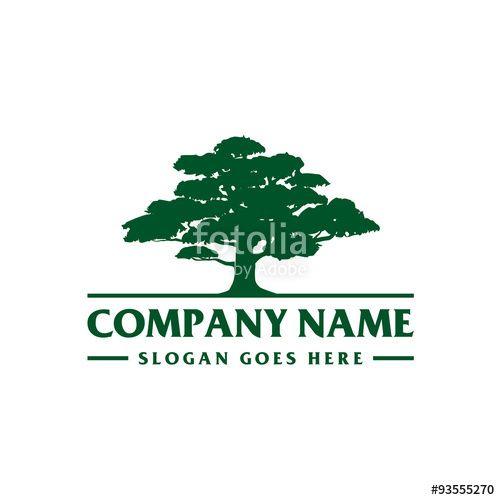 Cedar Tree Logo - Cedar Tree Logo Template
