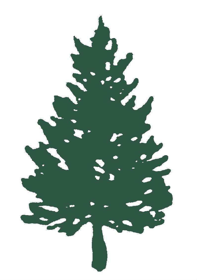 Cedar Tree Logo - Cedar Tree Foundation