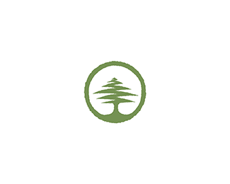 Cedar Tree Logo - Cedar tree Designed