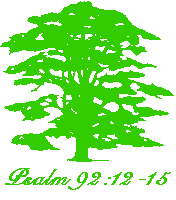 Cedar Tree Logo - CEDAR TREE CHURCH