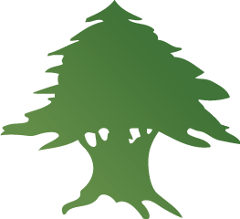 Cedar Tree Logo - Sleiman Enterprises. Sleiman Logo. Jacksonville Real Estate