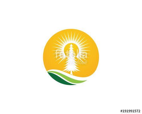 Cedar Tree Logo - Cedar Tree Logo Template Stock Image And Royalty Free Vector Files