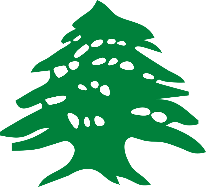 Cedar Tree Logo - Lebanon Cedar Tree Logo - Clipart & Vector Design •