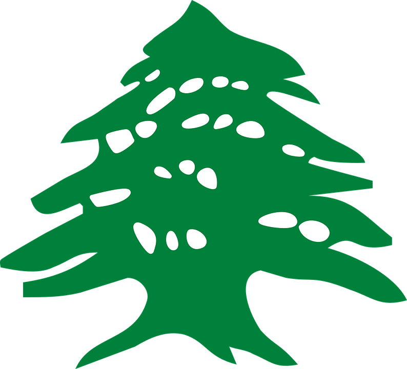 Cedar Tree Logo LogoDix