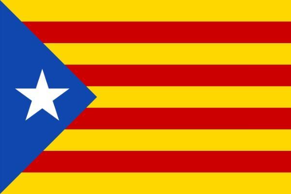 Red and Blue Triangle Logo - Understanding Catalan Flags - La Senyera and L'Estelada