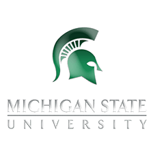 Michigan State University Logo - LogoDix