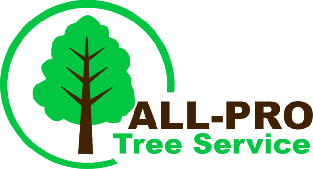 Tree Service Logo - All Pro Tree Service | Tree Removal and Care | Framingham, MA