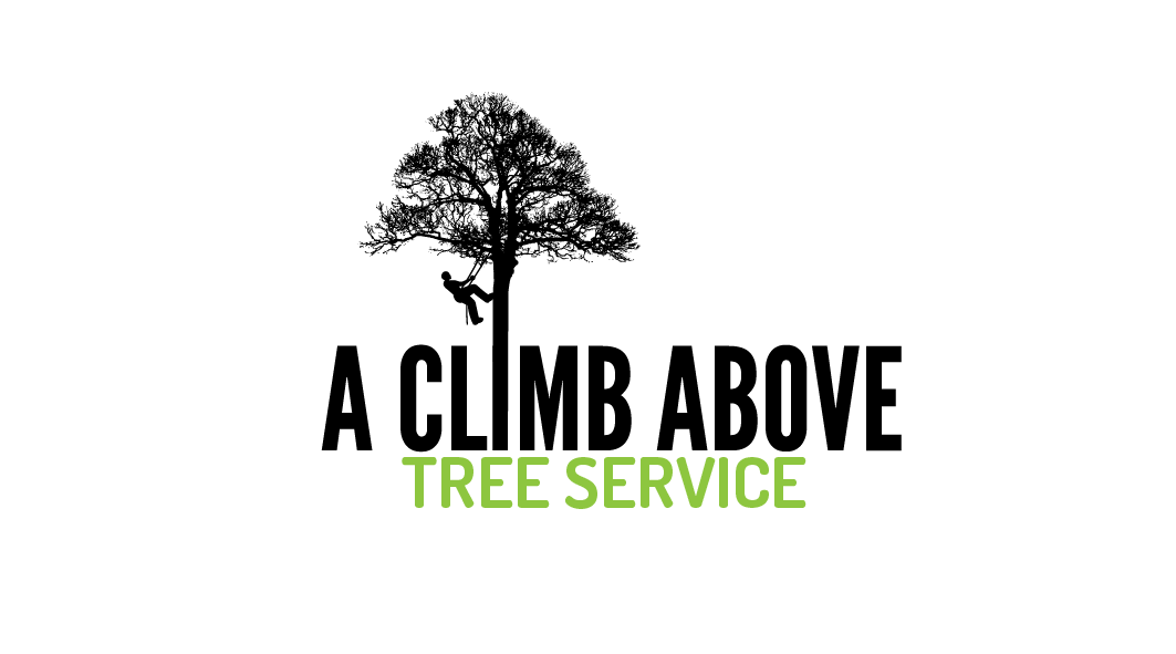 Tree Service Logo - Serious, Masculine, Industry Logo Design for A Climb Above Tree ...