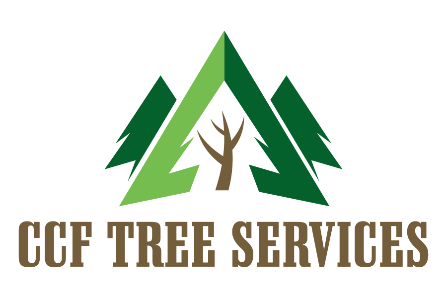 Tree Service Logo - PR_CCF Tree Services Logo Final_color on light - Tree Service ...