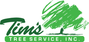 Tree Service Logo - Tim's Tree Service, Inc. | Stump Grinding | Granby | Springfield ...
