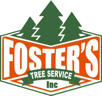Tree Service Logo - Tree Removal, Trimming, Stump Grinding, & Firewood - Foster's Tree ...