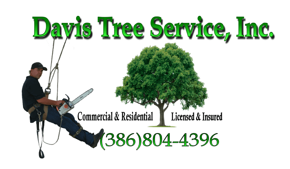 Tree Service Logo - Tree-Logo–Davis – Davis Tree Service