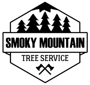Tree Service Logo - VOTED BEST Knoxville Tree Service Company | Tree Care in Knoxville ...