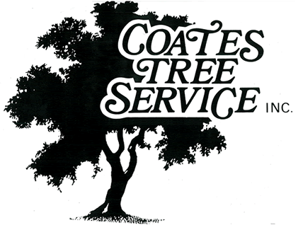 Tree Service Logo - Home - Coates Tree Service - Santa Fe, New Mexico