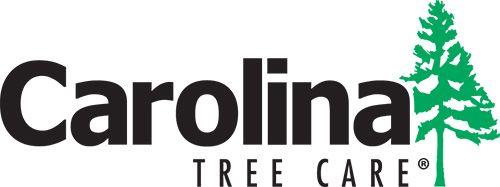 Tree Service Logo - Carolina Tree Care | Tree Service and Charlotte Arbor Consulting