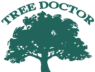 Tree Service Logo - Tree Service Augusta, GA | Tree Removal Augusta, GA | Tree Doctor