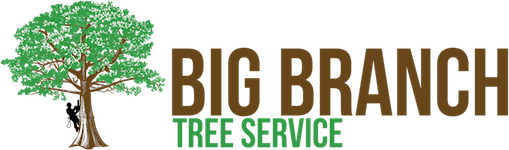 Tree Service Logo - Tree Service Serving Jacksonville, Orange Park, Fleming Island and More.