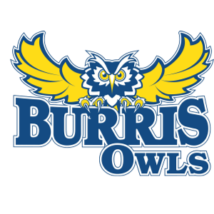 School Owls Logo - Muncie Burris School