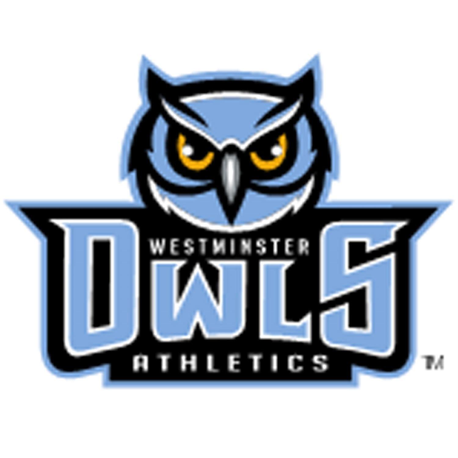 School Owls Logo - Boys Basketball High School, Maryland