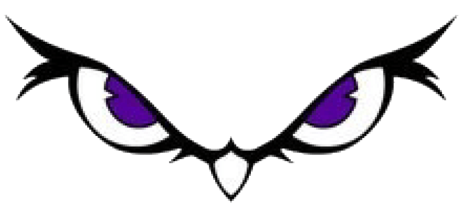 School Owls Logo - Seymour - Team Home Seymour Owls Sports