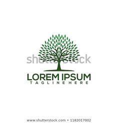 Star Flower Logo - Green Leaves Star Flower Logo design Infinity loop vector template ...