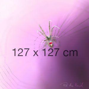 Pink Alien Logo - Pink alien 127×127