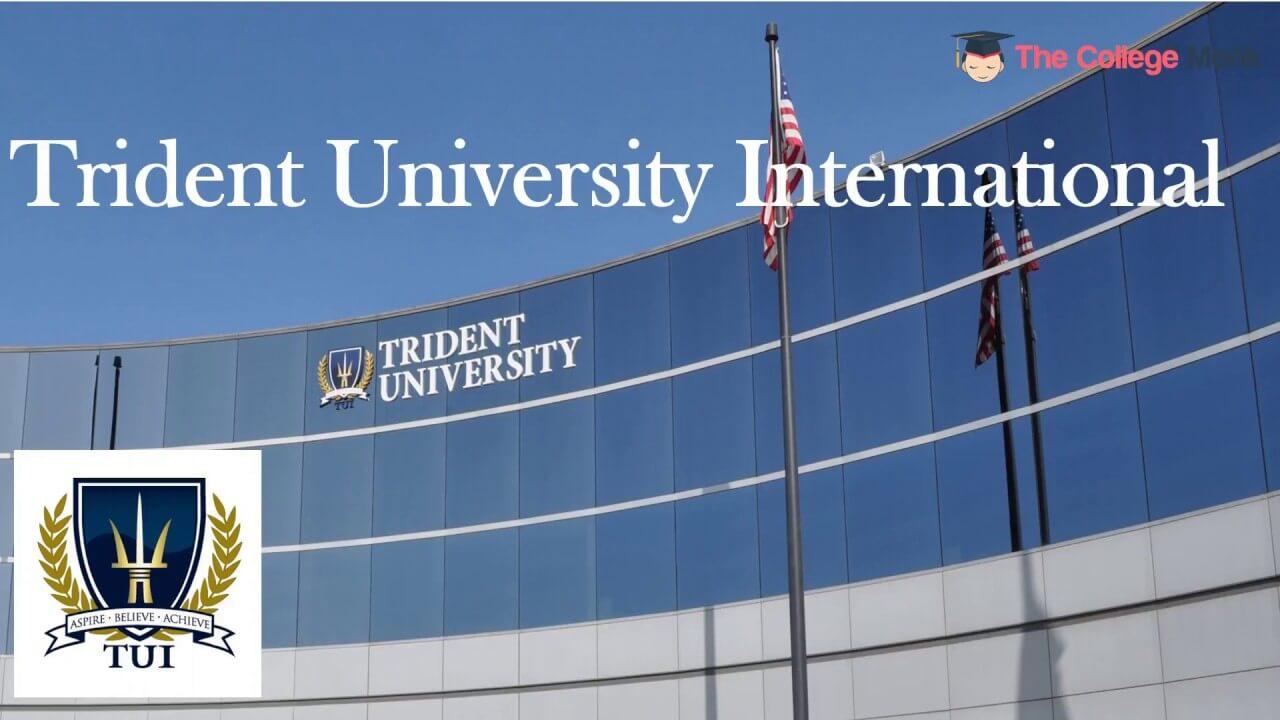 Trident University Logo - Index of /wp-content/uploads/2018/10