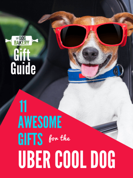 Awesome Dogs Logo - Awesome dog gift ideas – Dog birthday gift ideas from The dog bakery ...