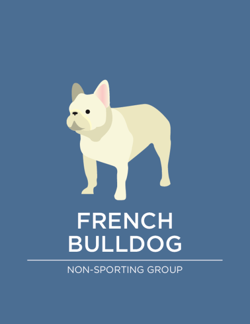 Awesome Dogs Logo - French Bulldog | French Bulldogs | Pinterest | French bulldogs ...