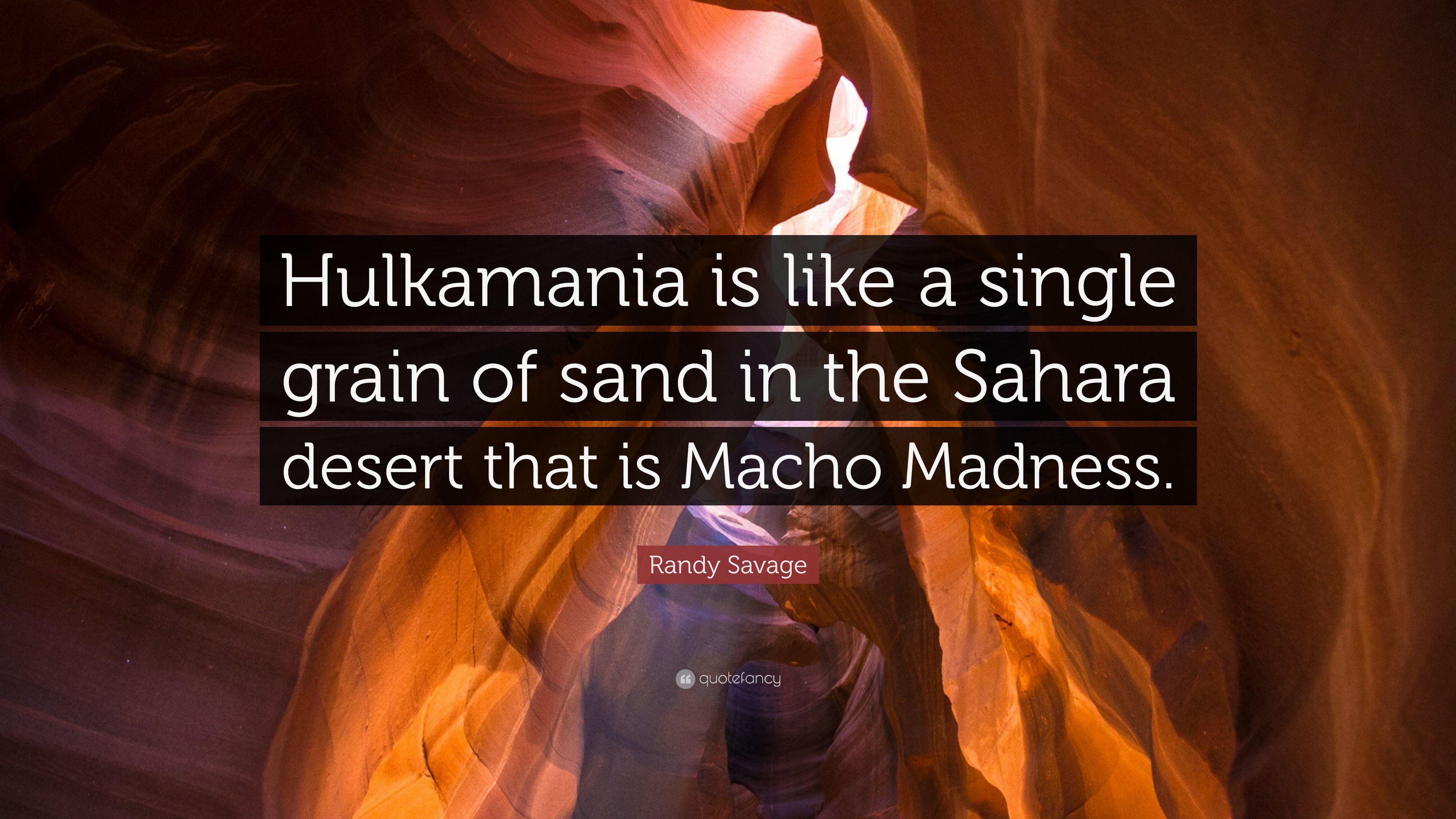 Randy Savage Madness Logo - Randy Savage Quote: “Hulkamania is like a single grain of sand in ...