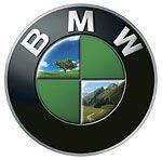 Green BMW Logo - Green Machine - Barron's