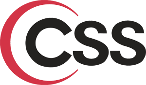 CSS Logo - Image - CSS logo.png | Logopedia | FANDOM powered by Wikia