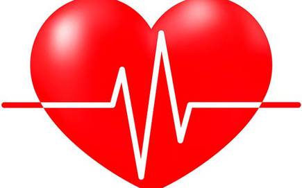 Heart Health Logo - Ladies, watch your heart health Hindu BusinessLine