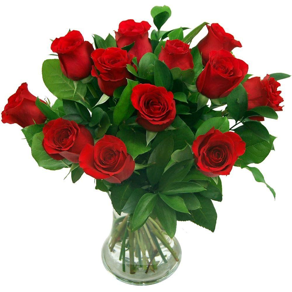 Green Flower Red Petal Logo - Clare Florist 12 Red Roses True Romance Fresh Flower Bouquet