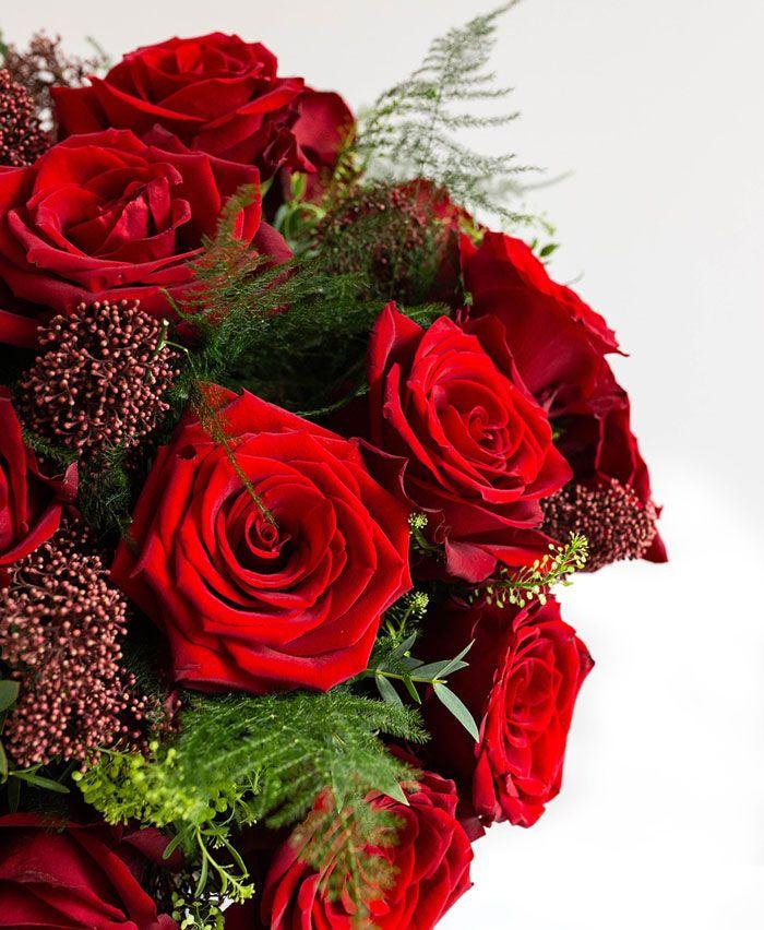 Green Flower Red Petal Logo - A Dozen Red Roses | Lavender Green Flowers