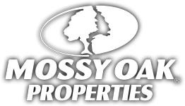Mossy Oak Logo - Mossy Oak Properties