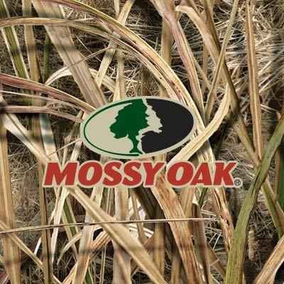 Mossy Oak Logo - Mossy Oak | DecalGirl
