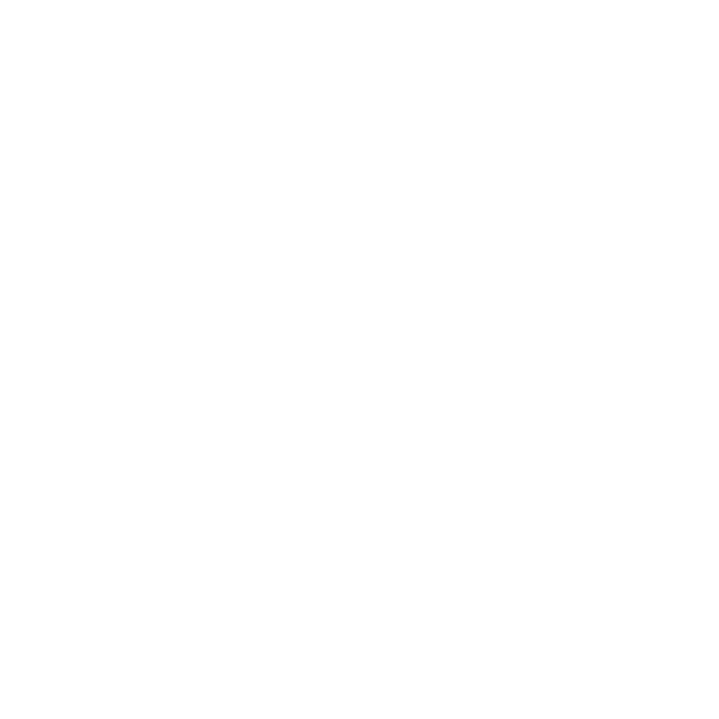 White C Logo - BCHS: BSD, C, , SQLite