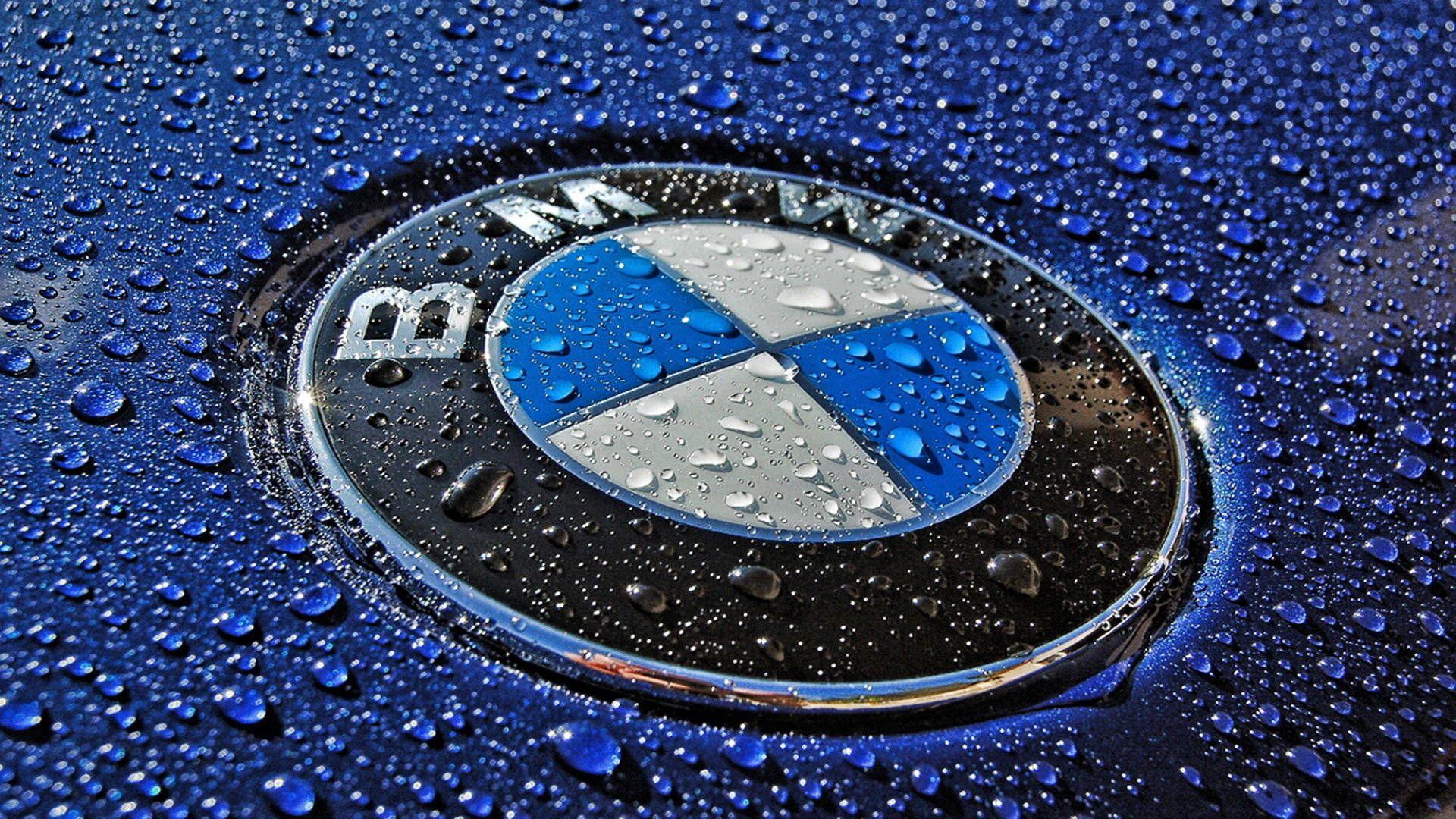 Blue BMW Logo - BMW Logo Wallpapers, Pictures, Images