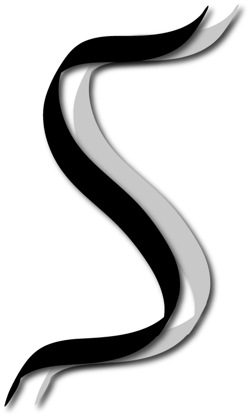 Double SS Logo - Script Double S Monogram - Leftover LogosLeftover Logos