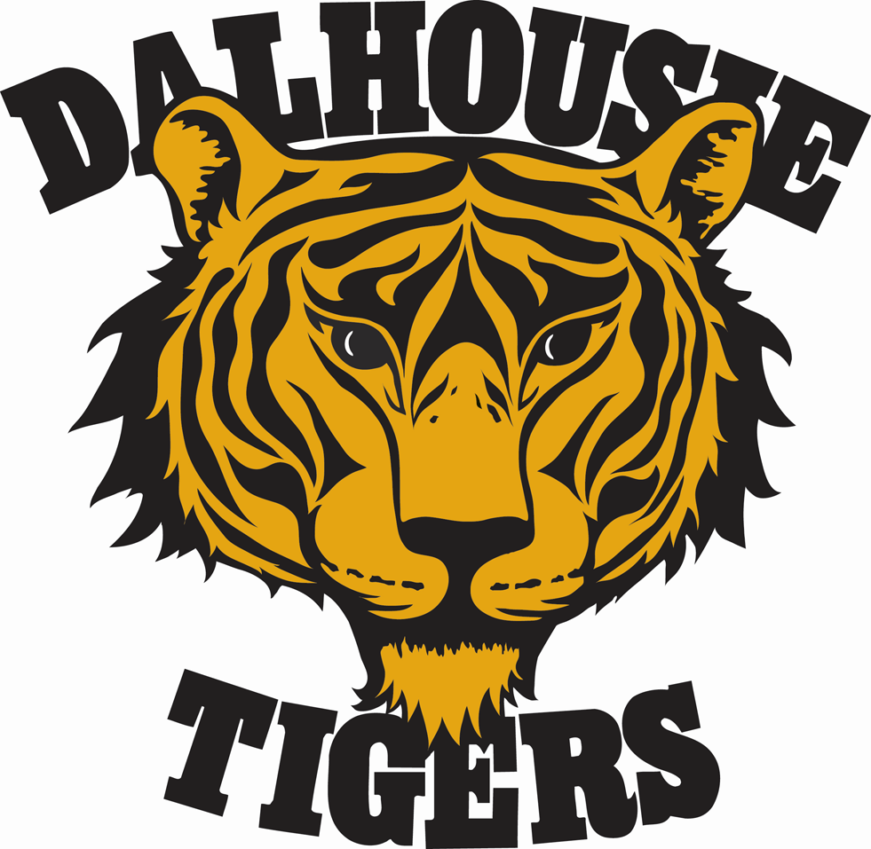 Yellow and Black Tiger Logo - Dalhousie Tigers Primary Logo University Sport AUS