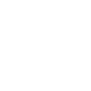 IV Logo - the IV wellness boutique – web design and graphic design vancouver