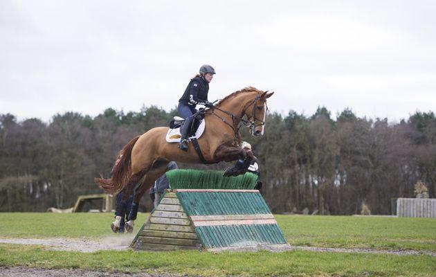 Green Cross Country Logo - Lucinda Green: how to become a good cross-country rider - Horse & Hound