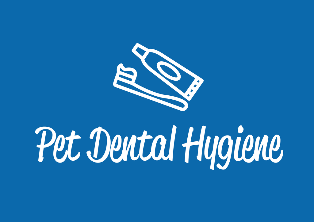 Pet Hygiene Logo - The Importance of Pet Dental Hygiene
