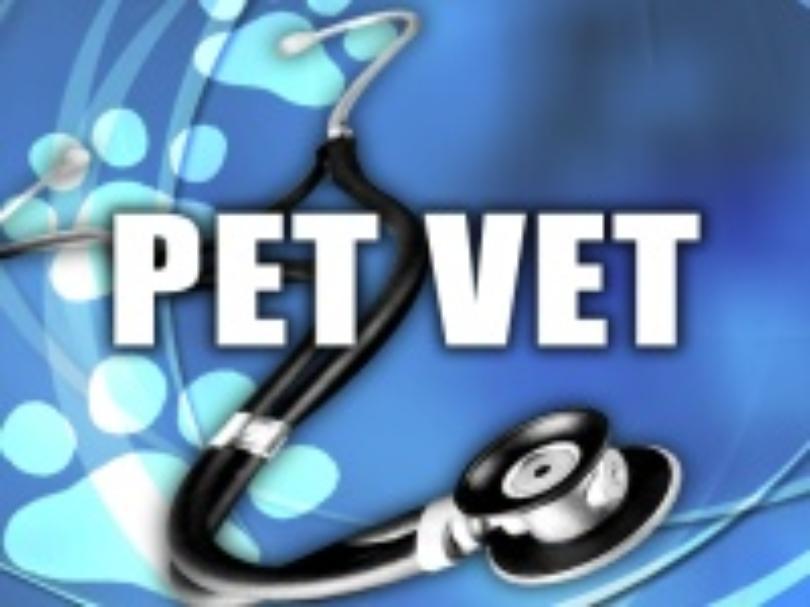 Pet Hygiene Logo - Pet Vet: Dental hygiene for pets