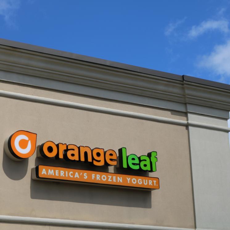 Orange Leaf America Frozen Logo - Orange Leaf Frozen Yogurt | Houma Area Convention & Visitors Bureau