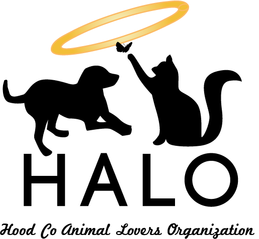 Animal Organizations Logo - Pets for Adoption at Hood Co Animal Lovers Organization, in Granbury