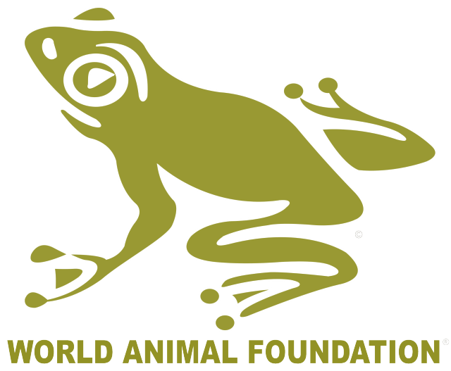 Animal Organizations Logo - World Animal Foundation