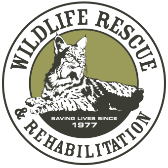 Animal Organizations Logo - Wildlife Rescue & Rehabilitation, Inc.