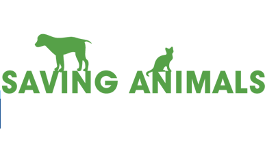 Animal Organizations Logo - Saving Animals During Disasters, Wilmington, Carolina Beach, New